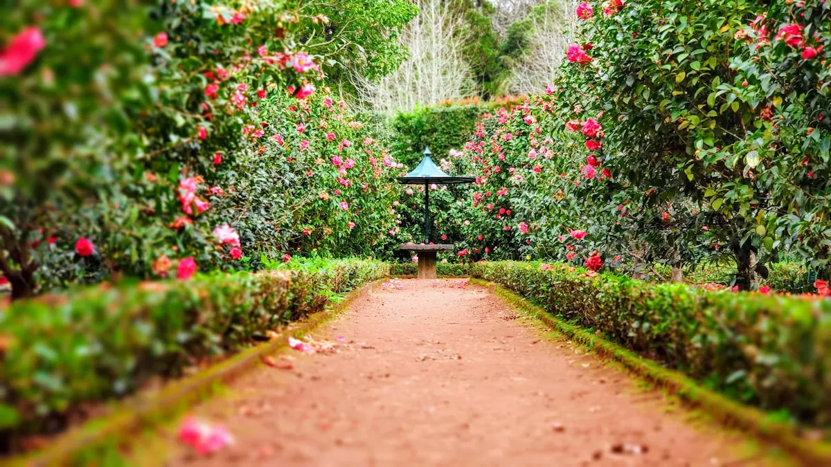 Manicured Evening Courtyard